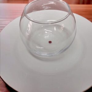 SMALL FISH BOWLS